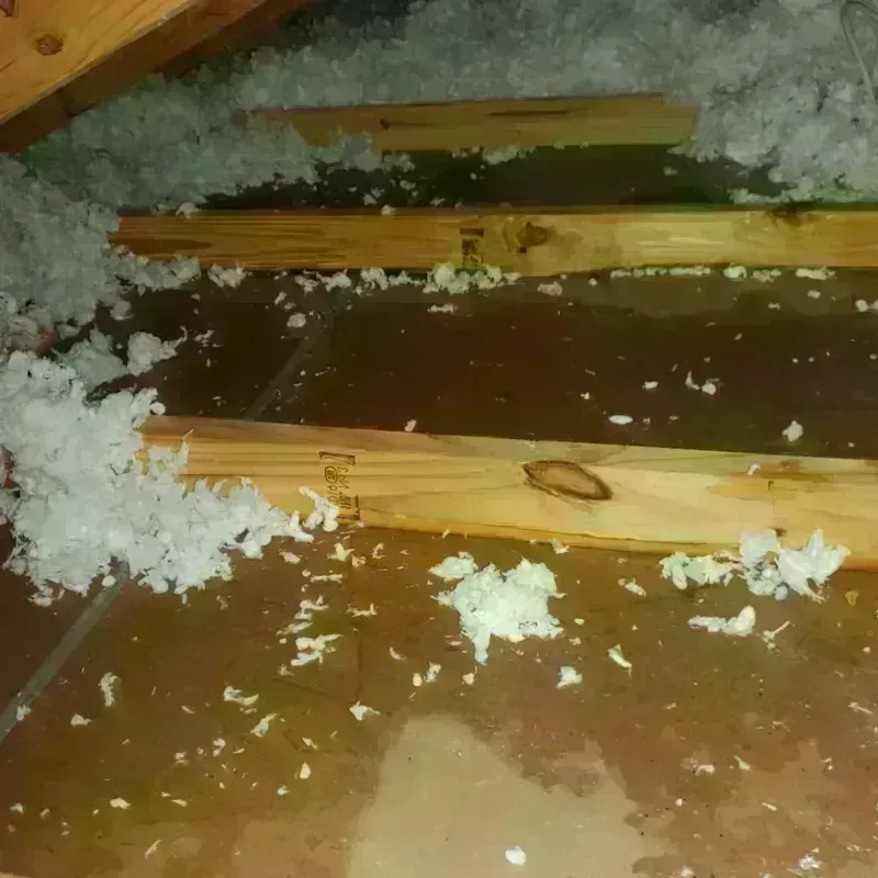 Attic Water Damage in Grove, OK