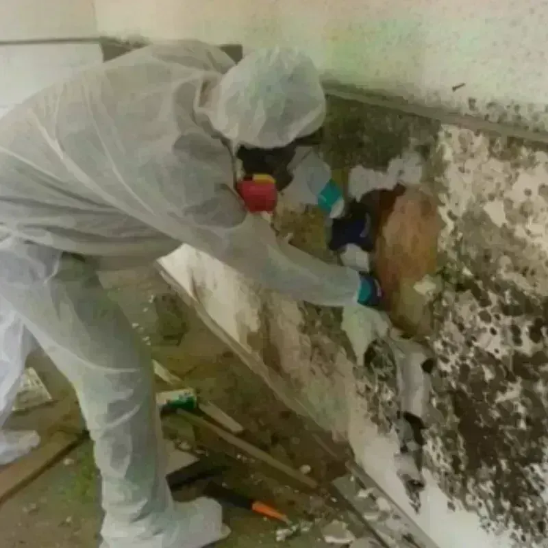 Mold Remediation and Removal in Grove, OK